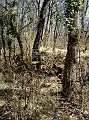 DSC03835