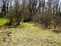 DSC03846