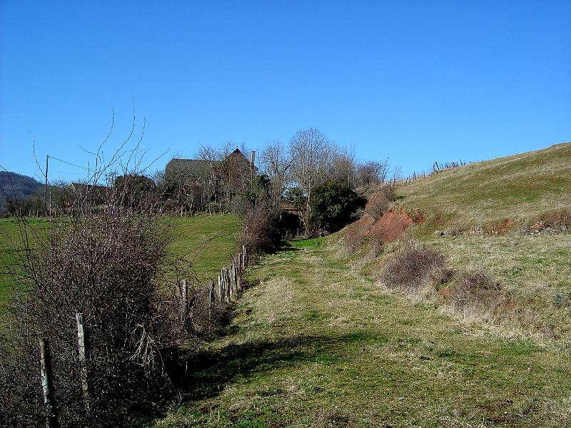 DSC03601.JPG - de l'Ady à Firmi, près de St Christophe