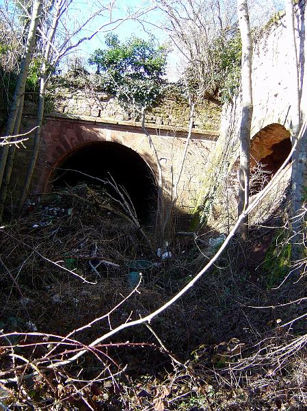 DSC03603.JPG - de l'Ady à Firmi, près de St Christophe, un court tunnel...encombré