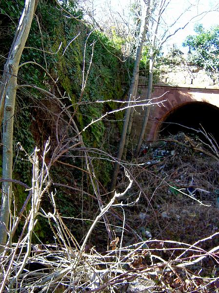 DSC03604.JPG - de l'Ady à Firmi, près de St Christophe, un court tunnel...encombré