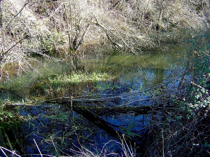 DSC03616.JPG - de l'Ady à Firmi, après St Christophe