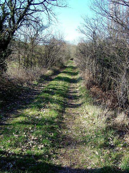 DSC03628.JPG - de l'Ady à Firmi, plateforme