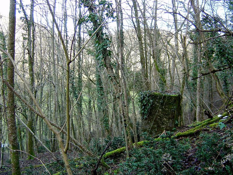 DSC03569.JPG - massif de pylône, caché, à découvrir en forêt près de Marcillac