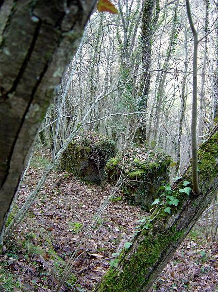 DSC03570.JPG - massif de pylône, caché, à découvrir en forêt près de Marcillac