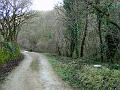 DSC03560