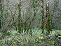 DSC03562