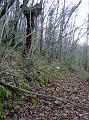 DSC03571