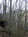 DSC03573
