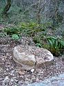 DSC04781-1032