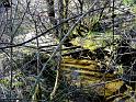 DSC04783-1034