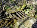 DSC04784-1035
