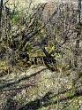 DSC04785-1036