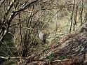 DSC04793-1043