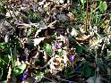 DSC04794-1044