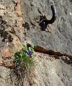 DSC04836-2049