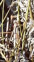 DSC04849-2061