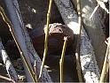 DSC04852-2065