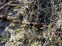 DSC04854067