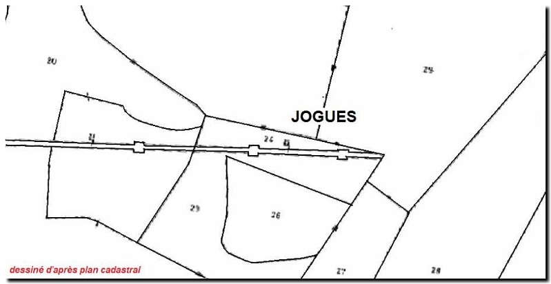 quiz_141.jpg