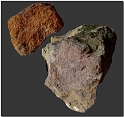 quiz_361