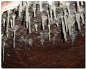 quiz_366