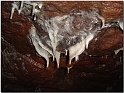 quiz_367