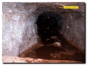 quiz_397