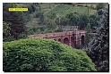 quiz_437