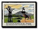 quiz_45