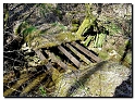 quiz_450