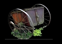 quiz_502