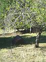 22-DSC05605
